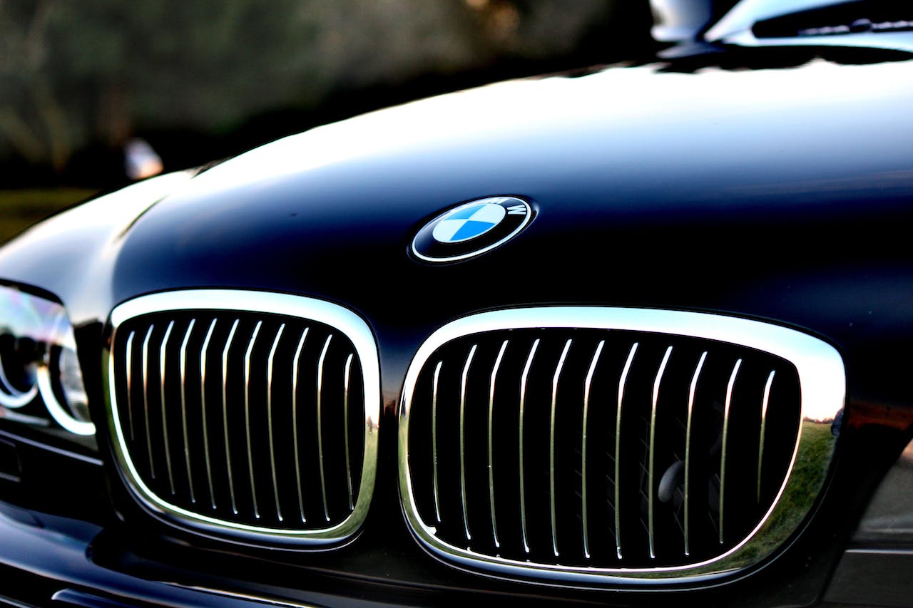 pexels megapixelstock 113176